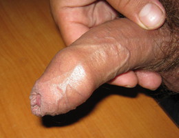 Gays masturbation cocks gal Image 1