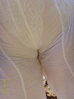 96254908.jpg
