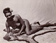 Vintage Porn Magazines