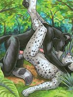 furry sonic porn