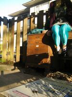 girls in spandex shorts