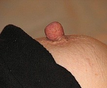 763_1332.jpg