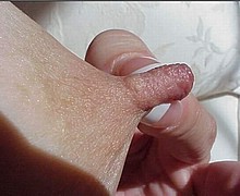 763_1675.jpg
