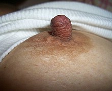 763_1689.jpg