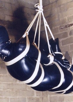 THE UNIVERSE OF BDSM 