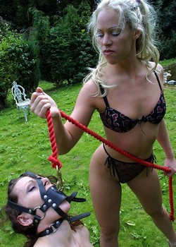 THE UNIVERSE OF BDSM 