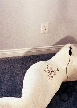 THE UNIVERSE OF BDSM 