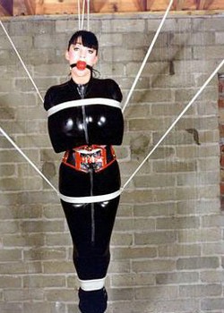 THE UNIVERSE OF BDSM 