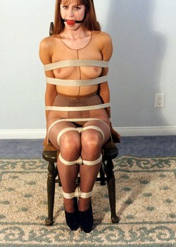 THE UNIVERSE OF BDSM 