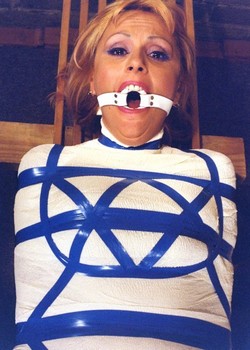 THE UNIVERSE OF BDSM 