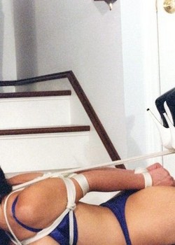 THE UNIVERSE OF BDSM 