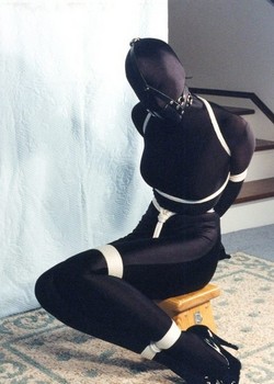 THE UNIVERSE OF BDSM 