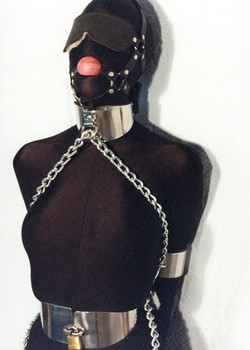 THE UNIVERSE OF BDSM 