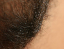 Favorite hairy girls pictures Image 1