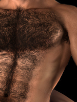 3D Gay artworks