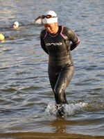 lycra spandex