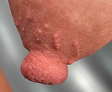 763_1017.jpg
