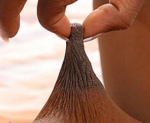 763_1030.jpg