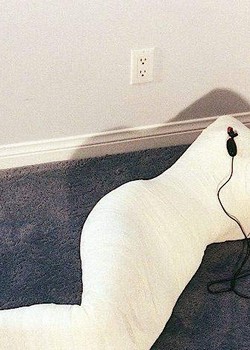 THE UNIVERSE OF BDSM 